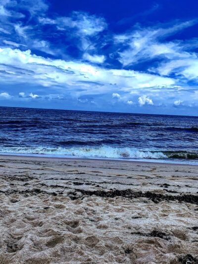 Fort Lauderdale Dog Beach - Fort Lauderdale, FL