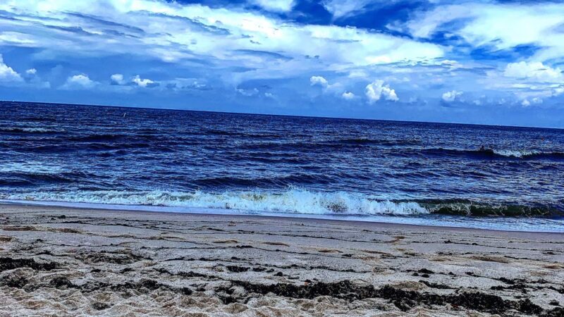 Fort Lauderdale Dog Beach - Fort Lauderdale, FL