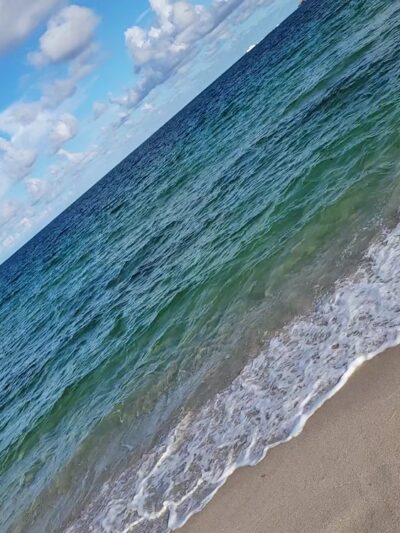 Fort Lauderdale Dog Beach - Fort Lauderdale, FL