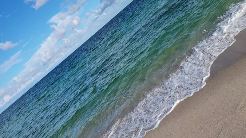 Fort Lauderdale Dog Beach - Fort Lauderdale, FL