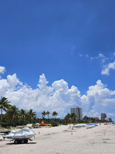 Fort Lauderdale Dog Beach - Fort Lauderdale, FL