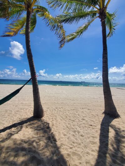 Fort Lauderdale Dog Beach - Fort Lauderdale, FL