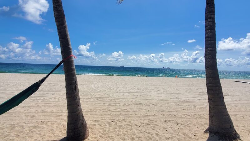 Fort Lauderdale Dog Beach - Fort Lauderdale, FL