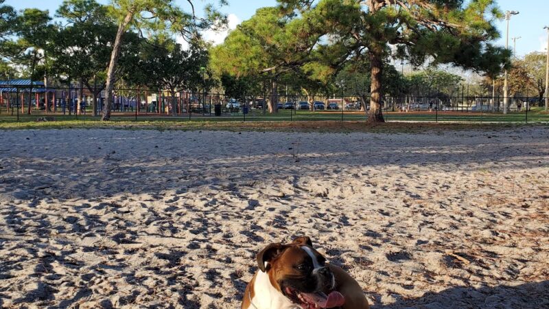 Holiday Park Dog Park - Fort Lauderdale, FL