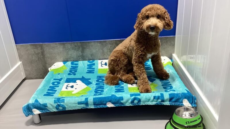 Hounds Town - Fort Lauderdale North - Fort Lauderdale, FL