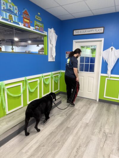 Hounds Town - Fort Lauderdale North - Fort Lauderdale, FL