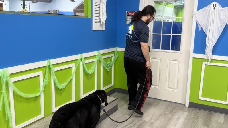 Hounds Town - Fort Lauderdale North - Fort Lauderdale, FL