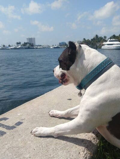 Idlewyld Park/Merle Fogg Park - Fort Lauderdale, FL