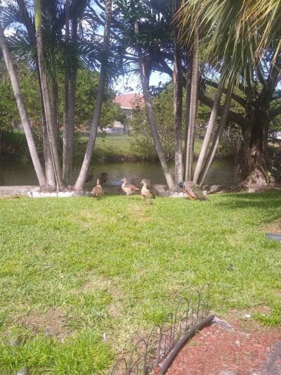 Lafayette Hart Park - Fort Lauderdale, FL