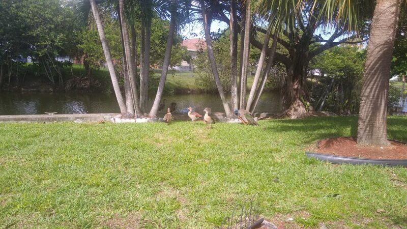 Lafayette Hart Park - Fort Lauderdale, FL