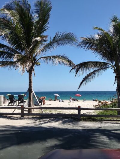 Loggerhead Park - Fort Lauderdale, FL