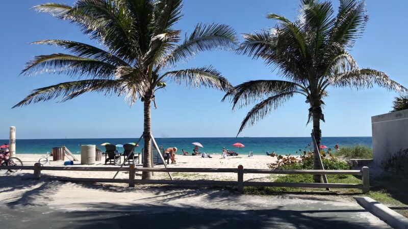 Loggerhead Park - Fort Lauderdale, FL