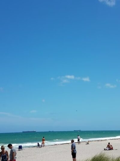 Loggerhead Park - Fort Lauderdale, FL