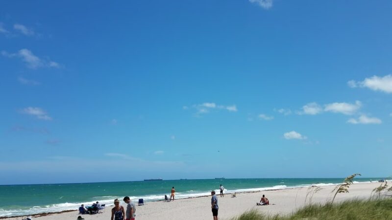 Loggerhead Park - Fort Lauderdale, FL