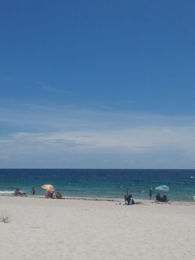 Loggerhead Park - Fort Lauderdale, FL