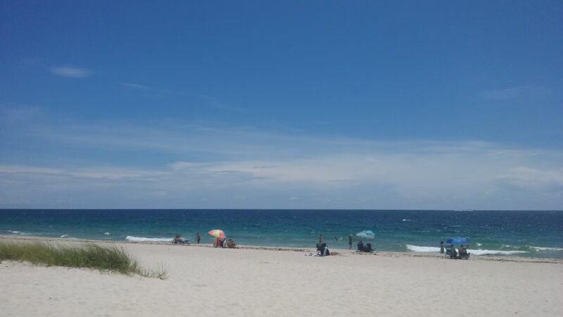 Loggerhead Park - Fort Lauderdale, FL