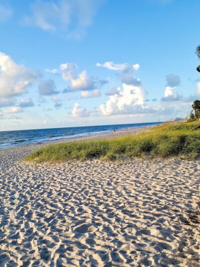 Loggerhead Park - Fort Lauderdale, FL