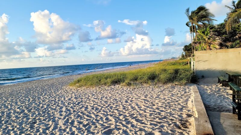 Loggerhead Park - Fort Lauderdale, FL