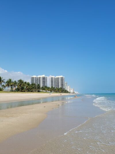 Loggerhead Park - Fort Lauderdale, FL