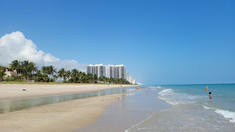 Loggerhead Park - Fort Lauderdale, FL