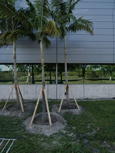 Pet Relief Area - Fort Lauderdale, FL