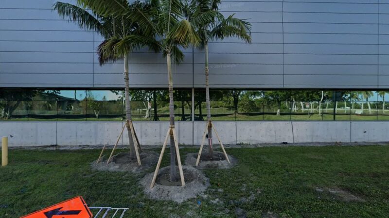 Pet Relief Area - Fort Lauderdale, FL