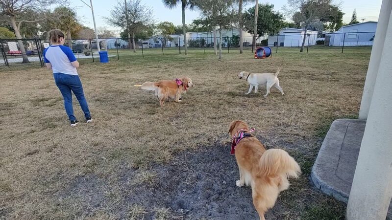 Precious Paws Dog Park - Fort Lauderdale, FL