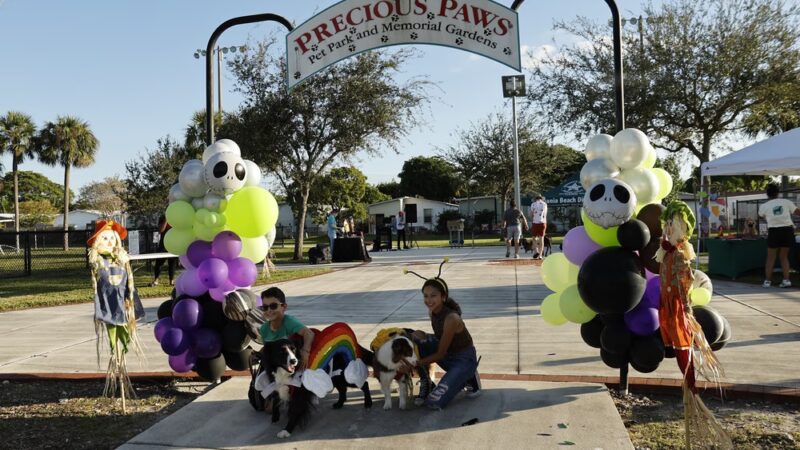 Precious Paws Dog Park - Fort Lauderdale, FL