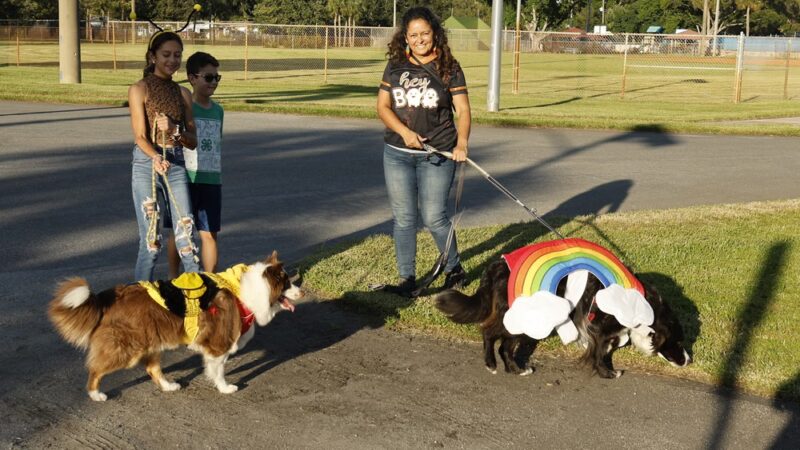 Precious Paws Dog Park - Fort Lauderdale, FL