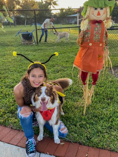 Precious Paws Dog Park - Fort Lauderdale, FL