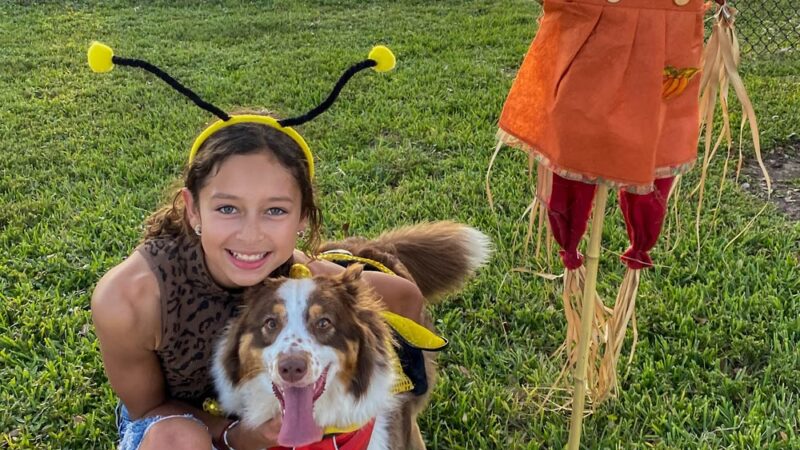 Precious Paws Dog Park - Fort Lauderdale, FL