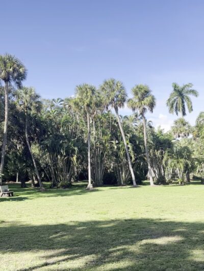 Riverland Preserve - Fort Lauderdale, FL