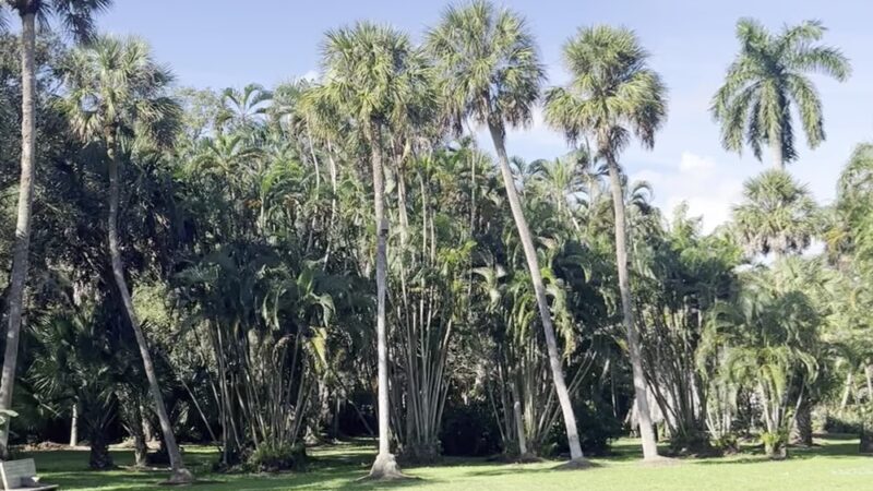 Riverland Preserve - Fort Lauderdale, FL