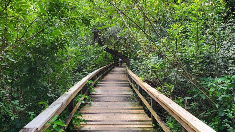 Snyder Park - Fort Lauderdale, FL