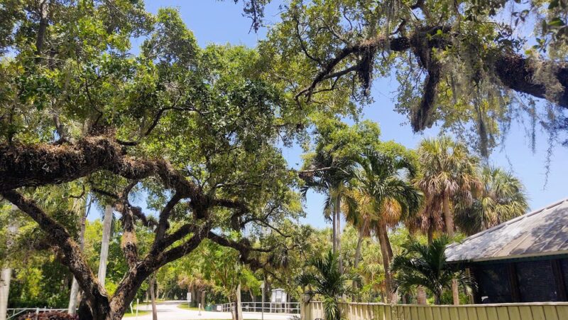 Snyder Park - Fort Lauderdale, FL