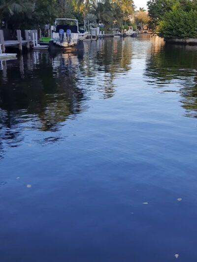 Victoria Park - Fort Lauderdale, FL