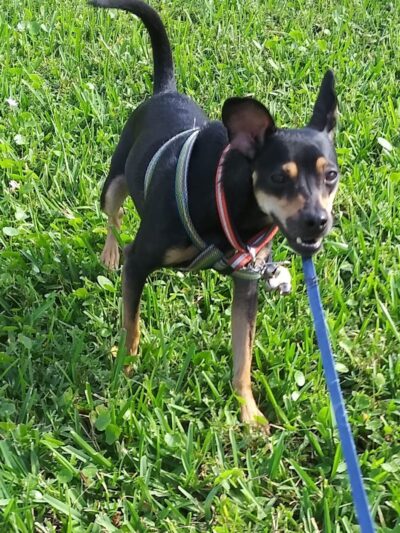 Washburn Park - Fort Lauderdale, FL