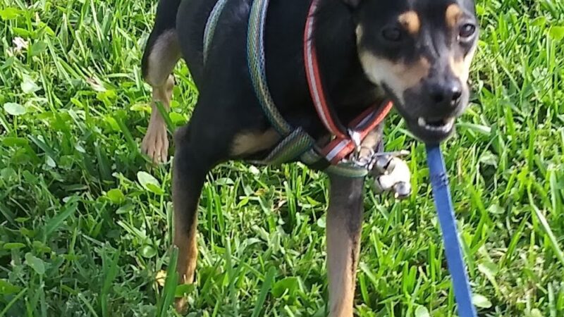 Washburn Park - Fort Lauderdale, FL