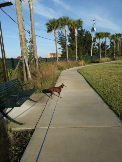 Washburn Park - Fort Lauderdale, FL