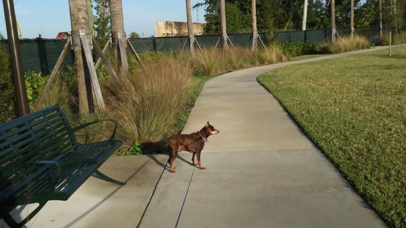 Washburn Park - Fort Lauderdale, FL