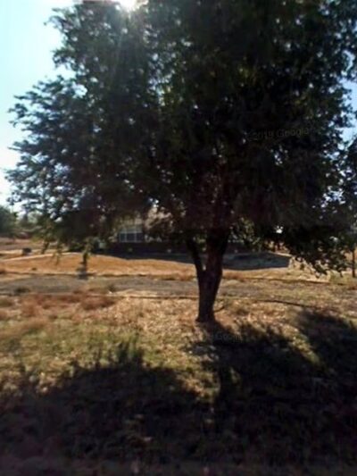 Pointing Ridge Game Birds & Gun Dogs - Fort Lupton, CO