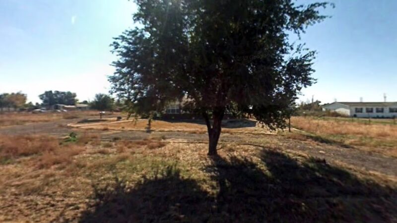 Pointing Ridge Game Birds & Gun Dogs - Fort Lupton, CO