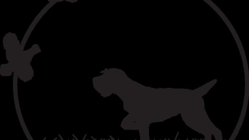 Pointing Ridge Game Birds & Gun Dogs - Fort Lupton, CO