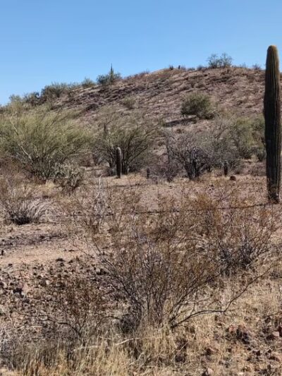 McDowell Mountain Regional Park - Fort McDowell, AZ