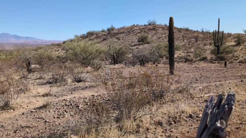 McDowell Mountain Regional Park - Fort McDowell, AZ