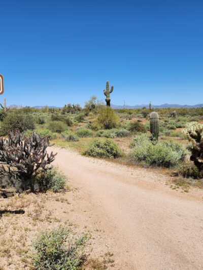 McDowell Mountain Regional Park - Fort McDowell, AZ