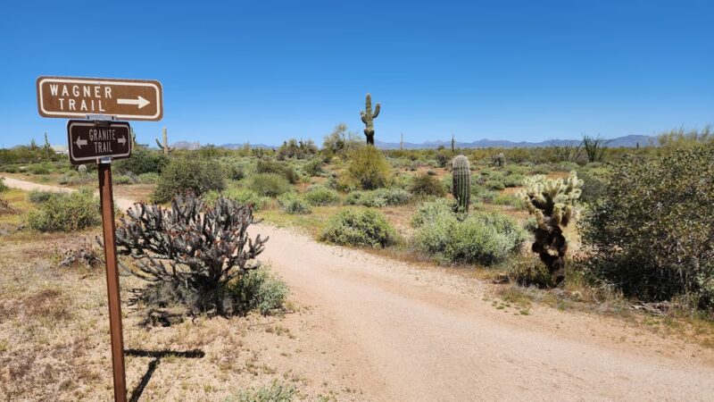 McDowell Mountain Regional Park - Fort McDowell, AZ