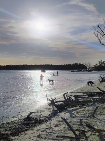 Lee County Parks & Recreation Dog Beach Parking - Fort Myers Beach, FL
