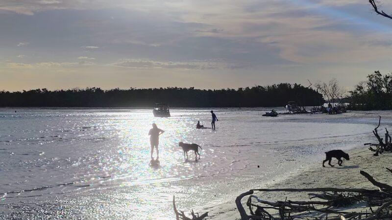 Lee County Parks & Recreation Dog Beach Parking - Fort Myers Beach, FL