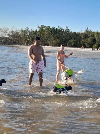 Lee County Parks & Recreation Dog Beach Parking - Fort Myers Beach, FL